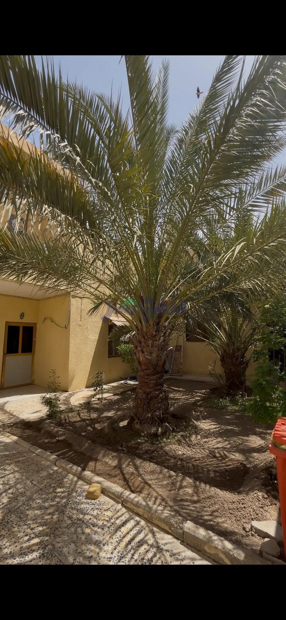 Property view 3